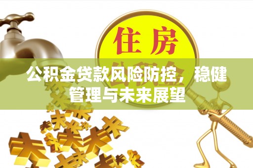 临川公积金贷款风险防控，稳健管理与未来展望