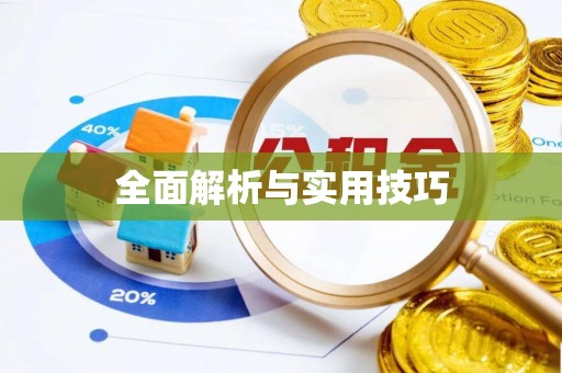 临川全面解析与实用技巧