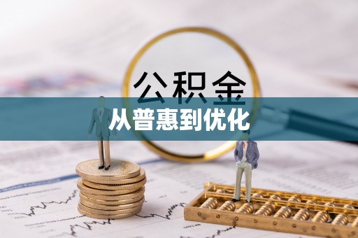 临川从普惠到优化