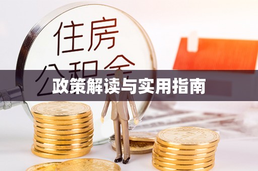 临川政策解读与实用指南