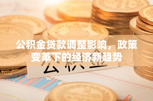 临川公积金贷款调整影响，政策变革下的经济新趋势