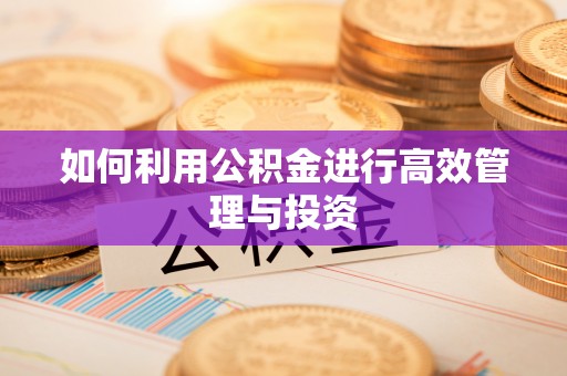 临川如何利用公积金进行高效管理与投资
